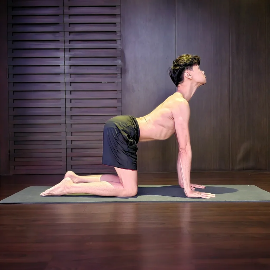 Cow Pose Cow Pose - Yoga for Beginners