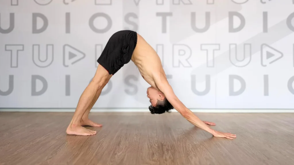 Downward-Facing Dog Pose Downward-Facing Dog Pose